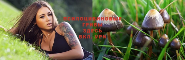 мефедрон Заводоуковск