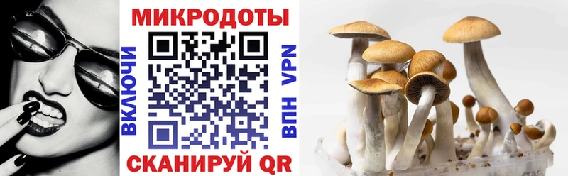 Псилоцибиновые грибы Magic Shrooms Мостовской